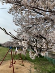 久保田写真.jpeg